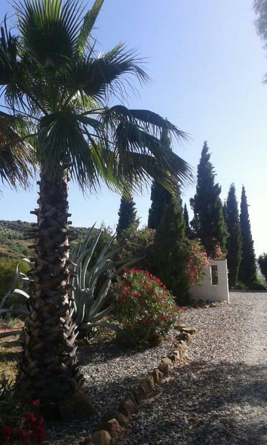 Casa Fuente De La Zorra Guest House Alora Exterior photo