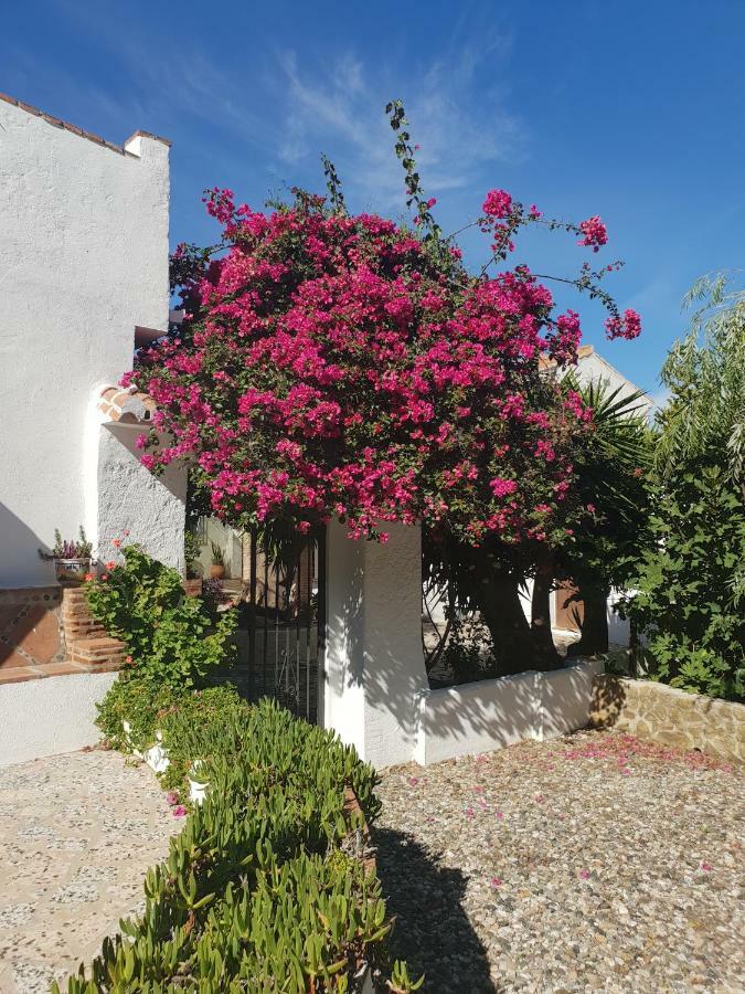 Casa Fuente De La Zorra Guest House Alora Exterior photo