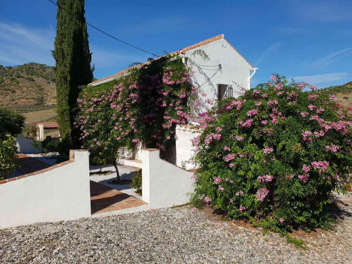 Casa Fuente De La Zorra Guest House Alora Exterior photo